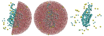 20170316-packmol_solvprotein.png